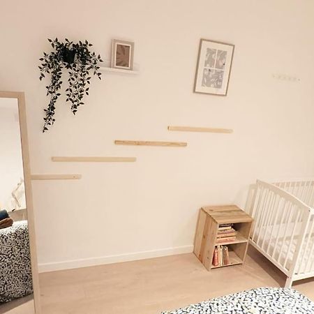 Cosy Jungle - Centre-Ville -Parking Prive - Wifi По Екстериор снимка